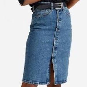 Everlane Denim Pencil Skirt light wash